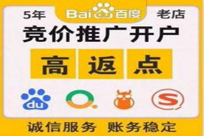 竞价广告案例分析：广告投放成本控制策略